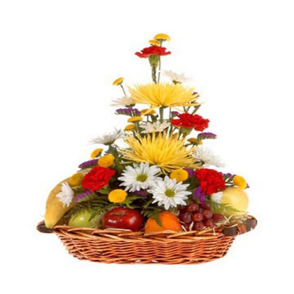 Bem vinda Primavera!