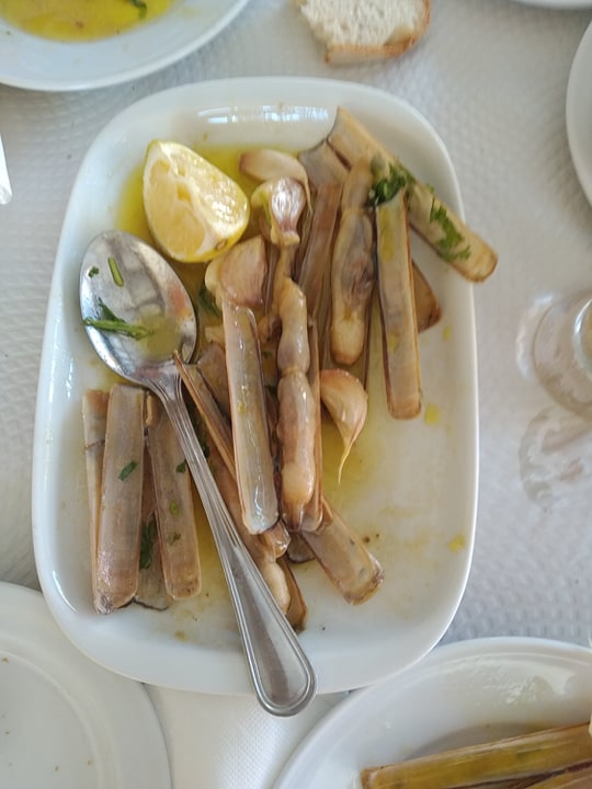 Lingueirão à Bulhão Pato